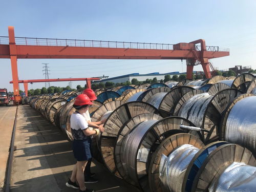 光纜鑄夢 不畏驕陽，C位出道